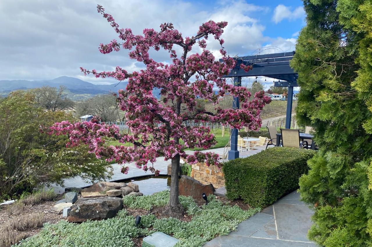 Alexander Valley Retreat Healdsburg Extérieur photo